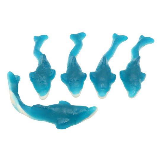 Kingsway Giant Dolphins